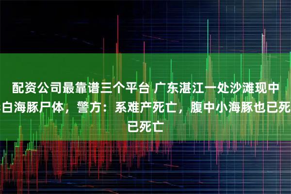 配资公司最靠谱三个平台 广东湛江一处沙滩现中华白海豚尸体，警方：系难产死亡，腹中小海豚也已死亡