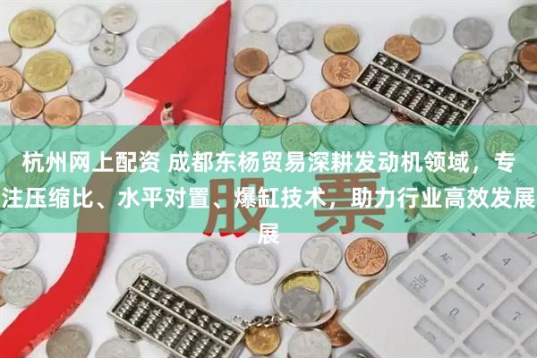 杭州网上配资 成都东杨贸易深耕发动机领域，专注压缩比、水平对置、爆缸技术，助力行业高效发展